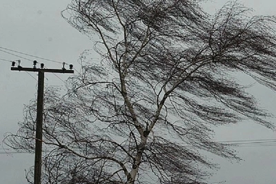 В Костроме и области ожидается сильный ветер до 18 м/с