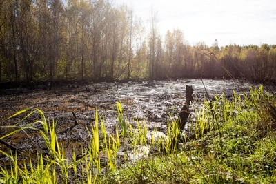 Жители Новокузнецка против ввоза фенольных отходов