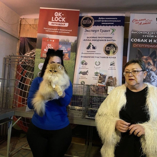 Источник: Ирина Господаренко / NGS22.RU