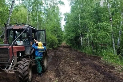 В Забайкалье обновляют противопожарные полосы