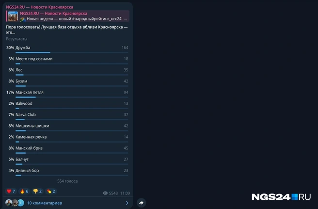 Вот так распределились голоса | Источник: NGS24.RU / Telegram