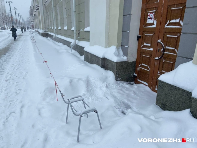 Источник: Дмитрий Волгин / Voronezh1.ru