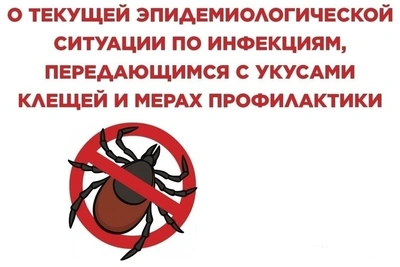 На Камчатке не зарегистрировано случаев присасывания клещей к людям