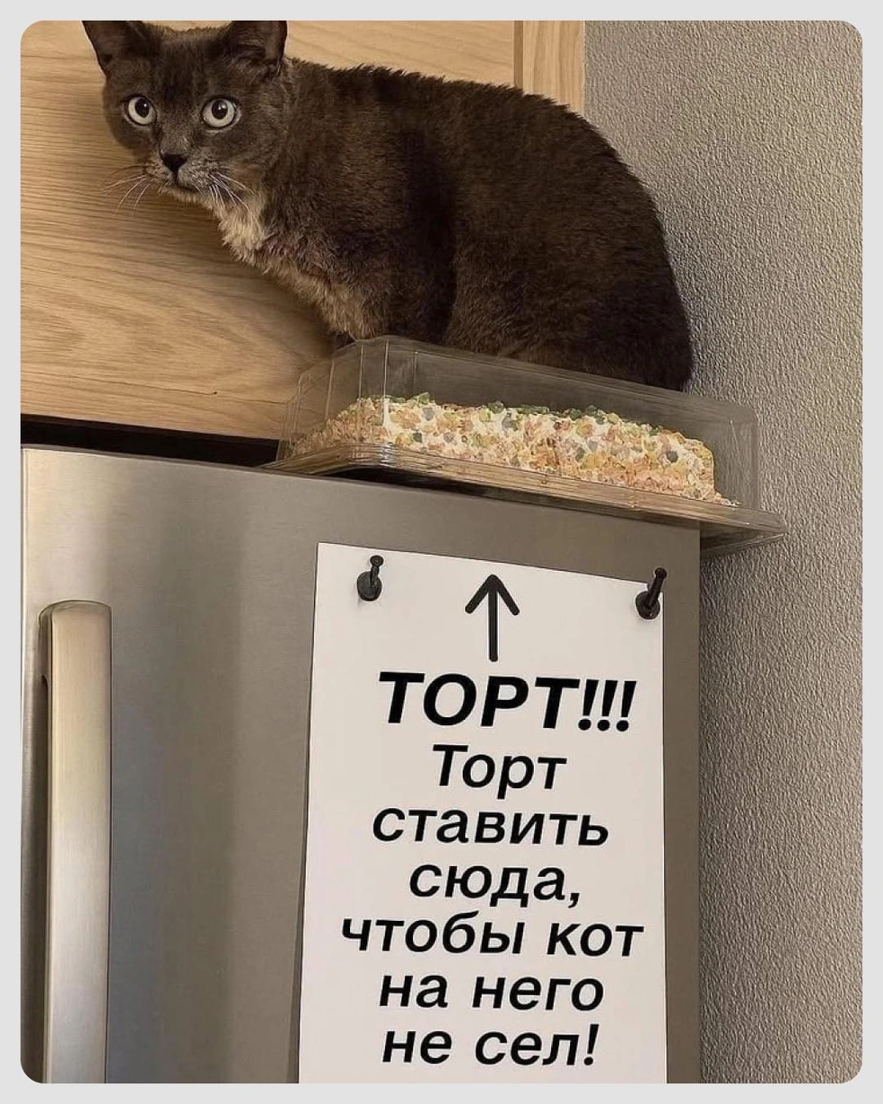 Хорошо, что не лег | Источник: Городские медиа