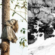Перевал Дятлова, Остров кукол и еще 8 самых страшных мистических мест мира