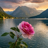 userpic__@Mollechka