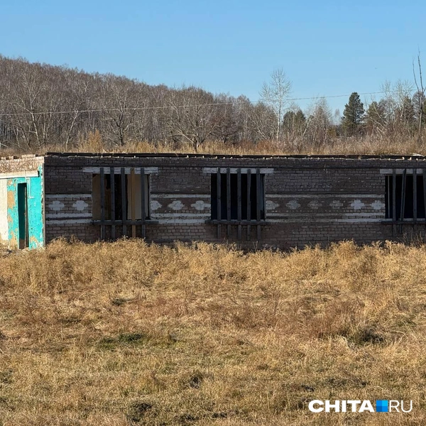 Источник: Анастасия Журавлева / CHITA.RU