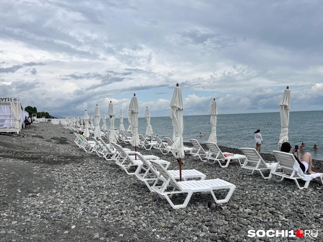 Купаются самые смелые | Источник: Анна Грицевич / SOCHI1.RU
