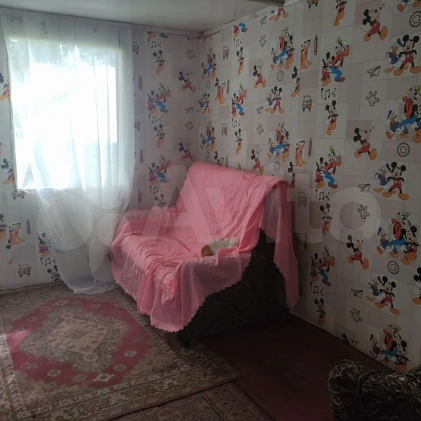 Источник: avito.ru