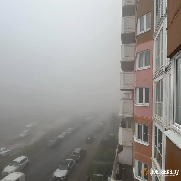Источник: читатель «Фонтанки»