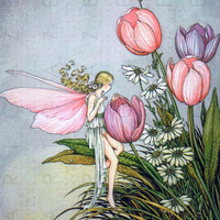 Аватарка FairyMiley