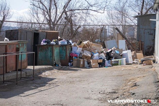 Мусор приходится вывозить всё дальше | Источник: Елена Буйвол / VLADIVOSTOK1.RU
