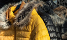 В Роскачестве дали советы аллергикам, как выбрать безопасную зимнюю куртку