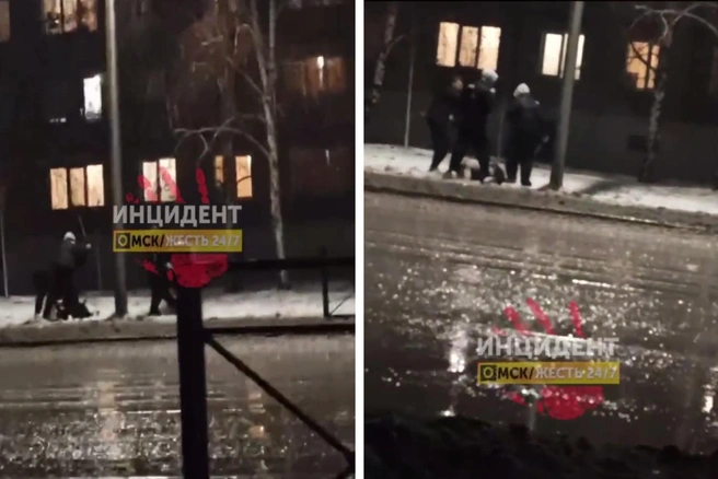 Удары были сильные | Источник: «Инцидент Омск» / t.me