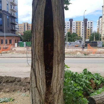 Источник: Администрация Волгограда