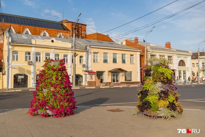 На фото&nbsp;— остановка на Богоявленской площади | Источник: Кирилл Поверинов / 76.RU