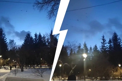 Нашествие ворон в Новосибирске: объяснение биолога