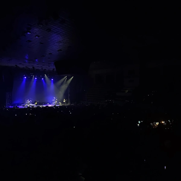 Концерт | Источник: Сергей Гендин / 164.RU