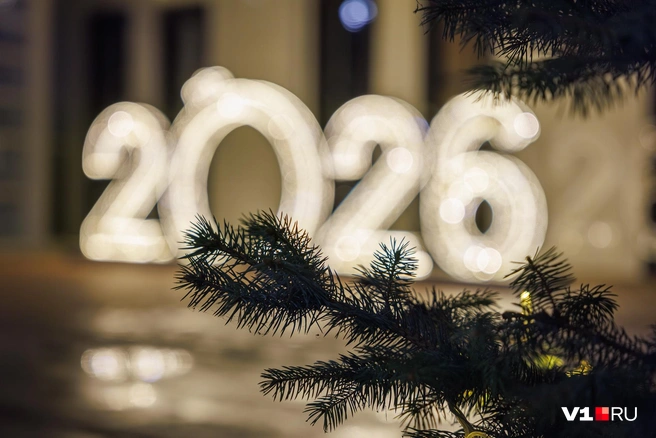 «2026» на фоне елочки смотрится очаровательно | Источник: Алексей Волхонский / V1.RU