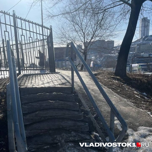Источник: Елена Буйвол / VLADIVOSTOK1.RU