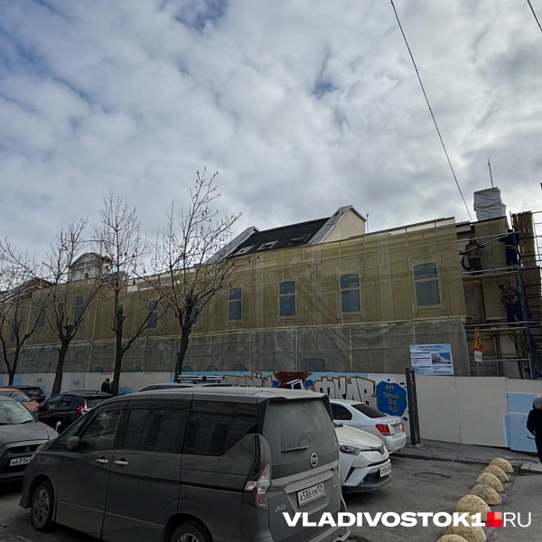 Источник: Елена Буйвол / VLADIVOSTOK1.RU