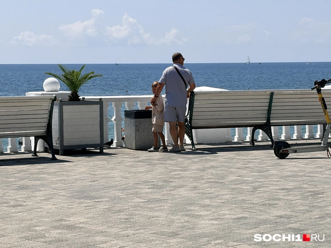 Две атаки за ночь. В Сочи включили сирены | Источник: Анна Грицевич / SOCHI1.RU