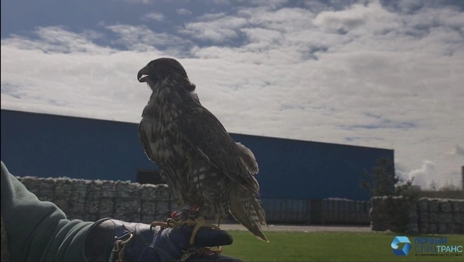 Источник: multioperator.ru