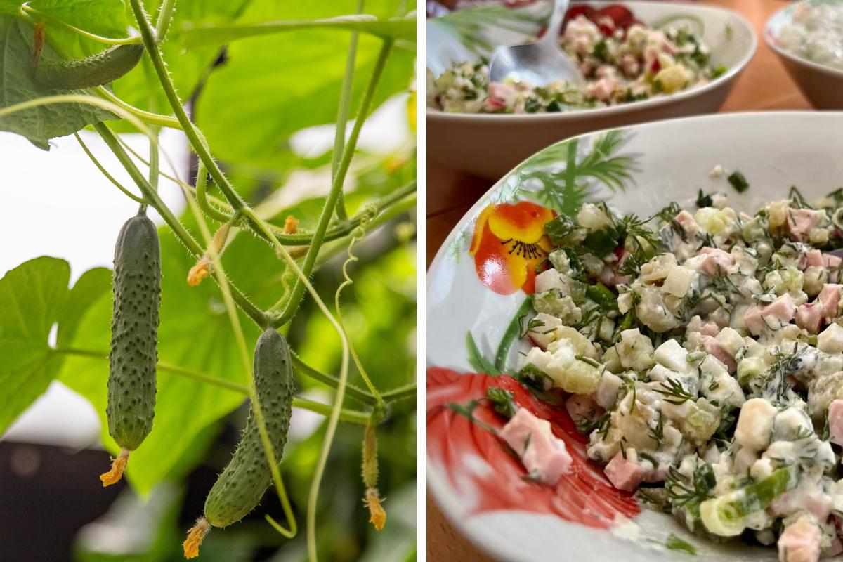 «Освежающая, прохладительная, витаминная»: житель Архангельска поделился рецептом альтернативной окрошки