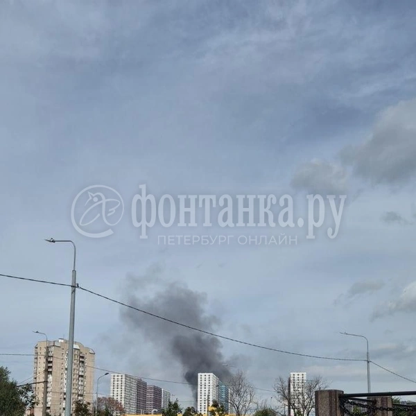 Источник: читатель «Фонтанки»