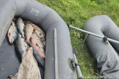 На 100-тысячном улове поймали браконьеров на Камчатке