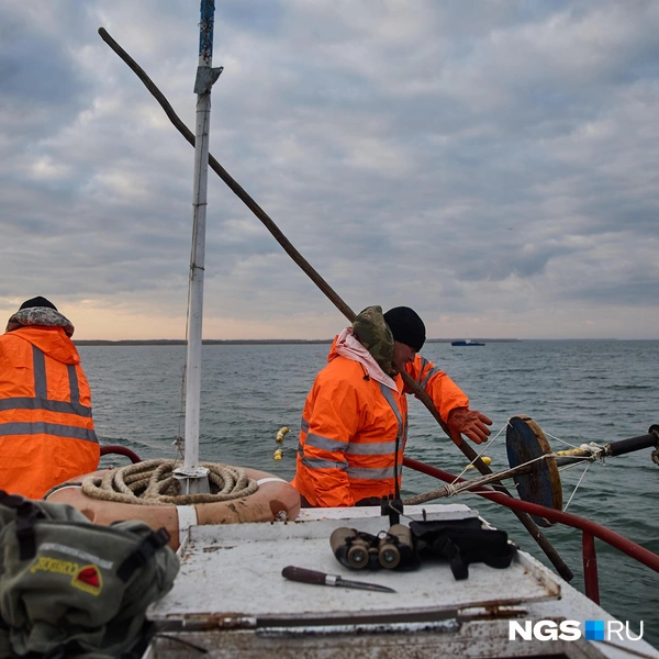 Лучше всего, говорят рыбаки, клюет после сильного ветра, который выгоняет рыбу из камышей. Но есть и другие секреты: в теплой воде сазан — юркий и неуловимый, но чем холоднее становится, тем вальяжнее движется рыба и тем легче ее поймать | Источник: Александр Ощепков / NGS.ru