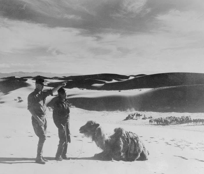 Настоящий Индиана Джонс: как Рой Чепмен Эндрюс открыл миру «палеонтологический Клондайк» Монголии