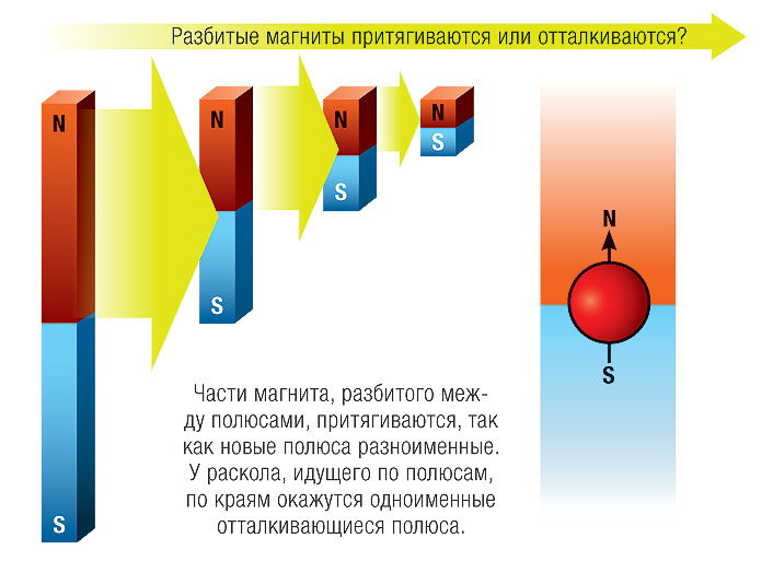 Почему при разделении магнита всегда остаются два полюса?