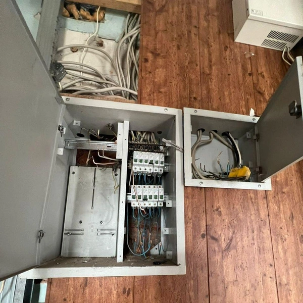 Источник: приют «Новый дом»