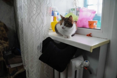 Стала известна предварительная дата завершения отопления в Новосибирске