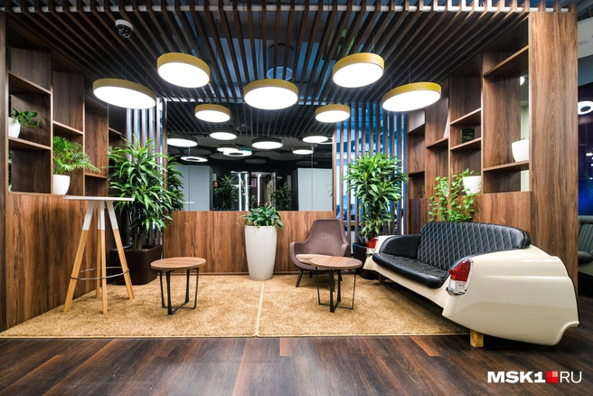 Хамедорея неприхотлива в уходе, поэтому подходит не только для дома, но и офиса | Источник: Артём Устюжанин / MSK1.RU