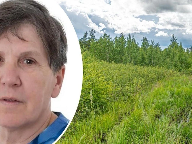 Сведений о пропавшей нет уже несколько недель | Источник: Олег Фёдоров / CHITA.RU / Поисковый отряд «ЛизаАлерт» Свердловской области
