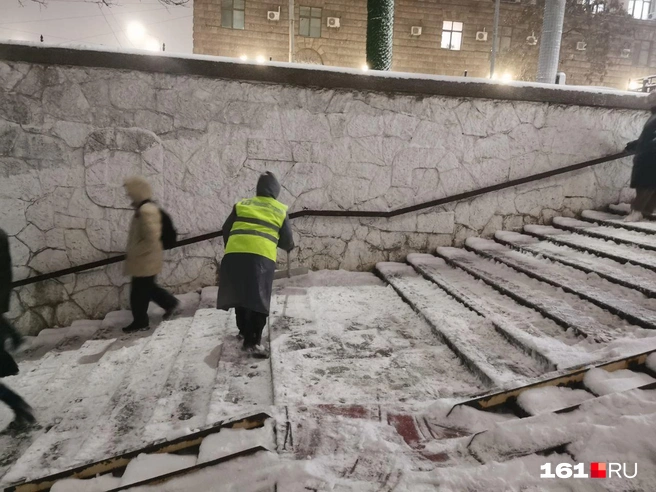 Источник: Евгений Вдовин / 161.RU