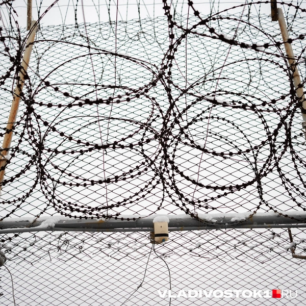 Источник: Елена Буйвол / VLADIVOSTOK1.RU