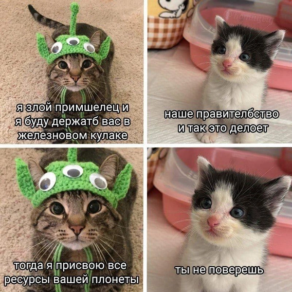 Источник: Соцсети