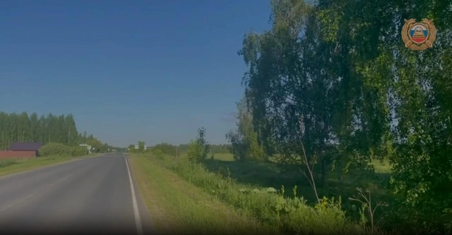 Трасса в Некрасовском районе, с которой слетел водитель | Источник: Госавтоинспекция Ярославской области / Telegram