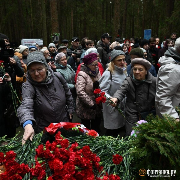 Источник: Андрей Бок / «Фонтанка.ру»