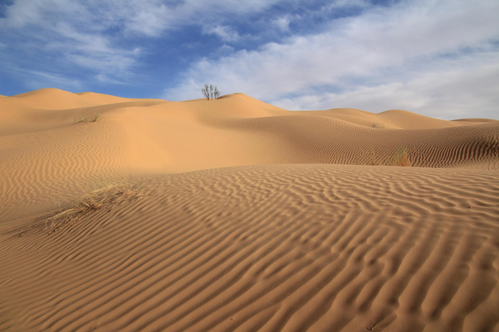 На мокром месте: 9 поразительных фактов о пустыне Сахара, ее песке и… воде