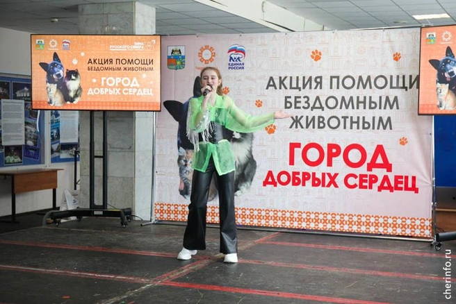 Источник: st.cherinfo.ru