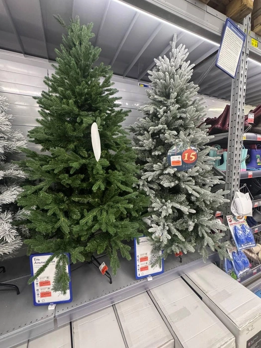 Деревья высотой 2,1 метра | Источник: Дарья Гранкина / 26.RU