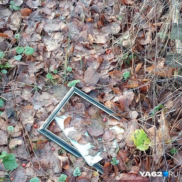 Источник: Анастасия Фокина / YA62.RU