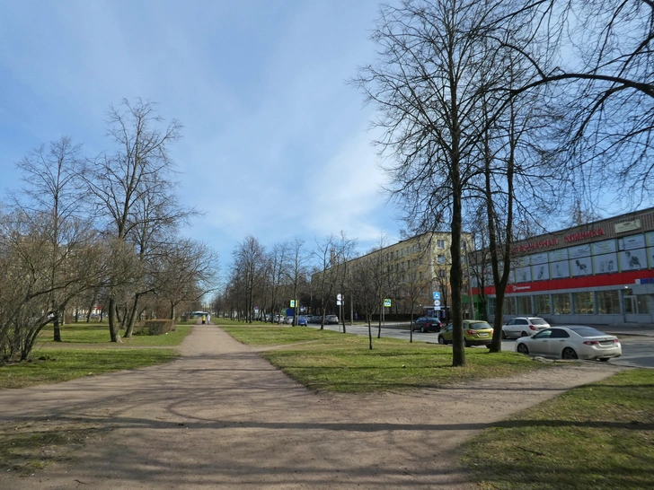 Источник: Екатерина Борисова, https://commons.wikimedia.org/