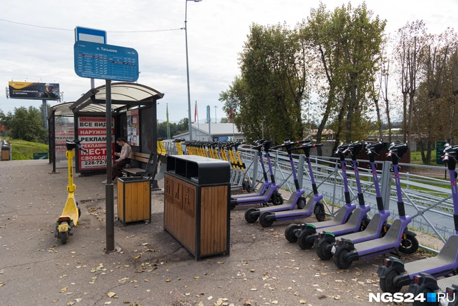 На ближайшей остановке целый ряд самокатов в аренду | Источник: Мария Ленц / NGS24.RU