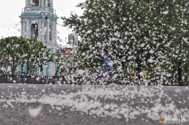 Атмосферный фронт накрывает Петербург. Хорошая новость в том, что сейчас это теплая сторона | Источник: Михаил Огнев / «Фонтанка.ру»