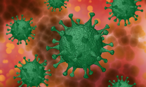 Ученые: Болезни почек вдвое повышают риск смерти от коронавируса